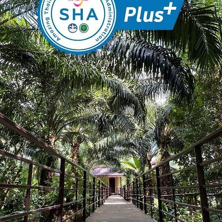 Khaosok Good View Resort - Sha Plus Khao Sok National Park المظهر الخارجي الصورة